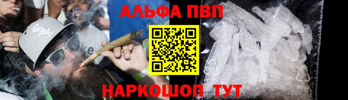 Меф Калининград
