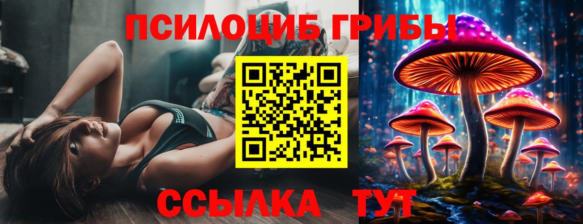 Галлюциногенные грибы MAGIC MUSHROOMS  Вход с VPN  Калининград  Галлюциногенные грибы GOLDEN TEACHER 