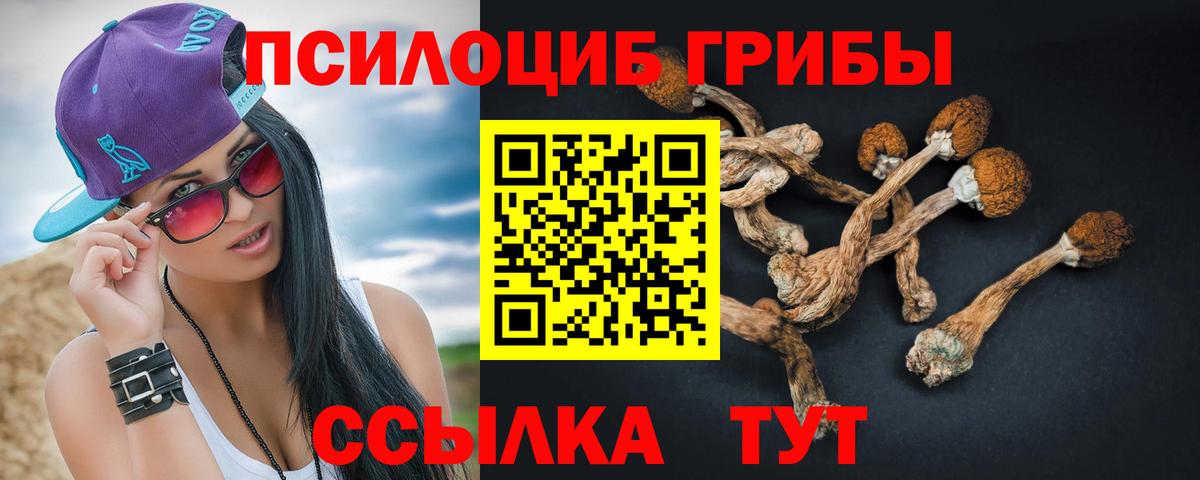 Галлюциногенные грибы мухоморы Калининград